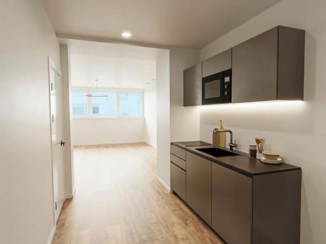 Modernes Single Apartment mit Terrasse Erstbezug