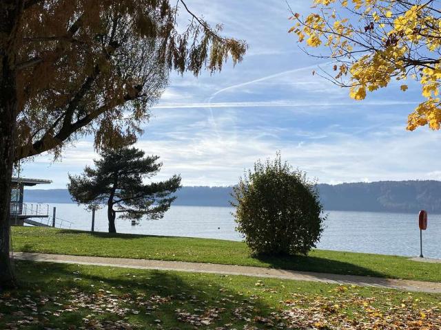 Modernes Single Apartment für eine Auszeit am See