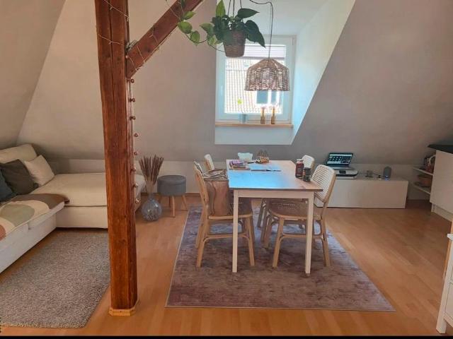 Modernes Studio direkt am Schyrenbad Isar All inclusive temporay