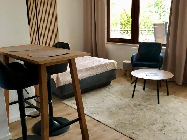 Modernes Studio mit Terrasse WLAN und Parkplatz Perfect loft in Wiesbaden