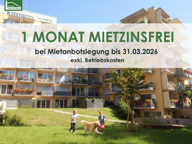 Moderner Wohnkomfort in zentraler Lage Idyllische 3 Zimmer Wohnung mit Freifläche!