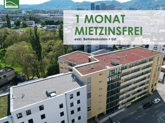 Moderner Wohnkomfort in zentraler Lage Idyllische 3 Zimmer Wohnung mit Freifläche!