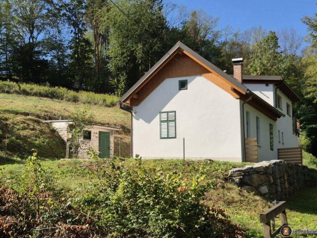 Moderner Landhaus Neubau mit PV Anlage und Wärmepumpe in Ruhelage!