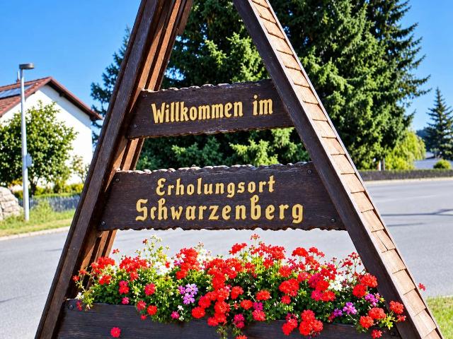 Modernisierte 2 Zimmer Wohnung mit Einbauküche in Schömberg Schwarzenberg
