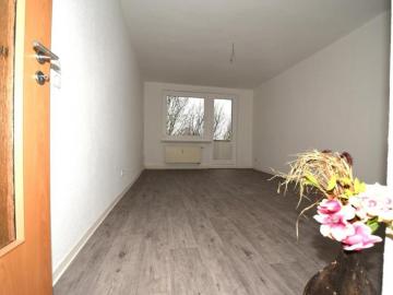 Stadtwald, Ostthüringen, Thüringen - Keller