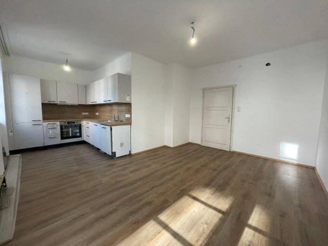 modernisierte 3 Zi Wohnung in PMU Nähe WG geeignet