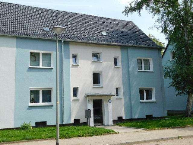 Modernisiertes Haus und Wohnung in Stadtnähe!