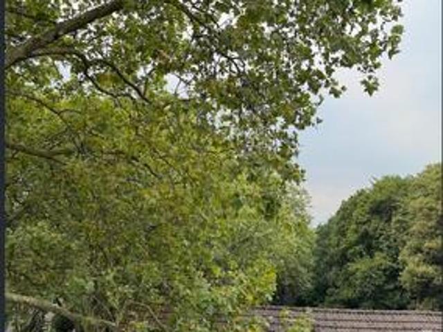 Modernisiertes Penthouse mit zwei Zimmern in Wuppertal Uhllendahl