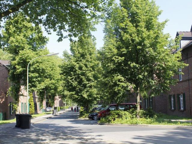 modernisierter Altbau, grün und ruhig mit Bus fast vor der Tür