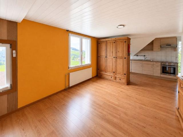 Modernized 3.5 room penthouse apartment with balcony and trauma view