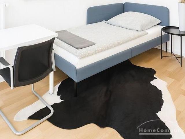 Modernly furnished 8 room apartment in Neuhausen