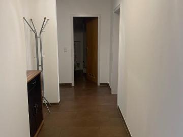 Modernly furnished apartment in a central location in Cologne