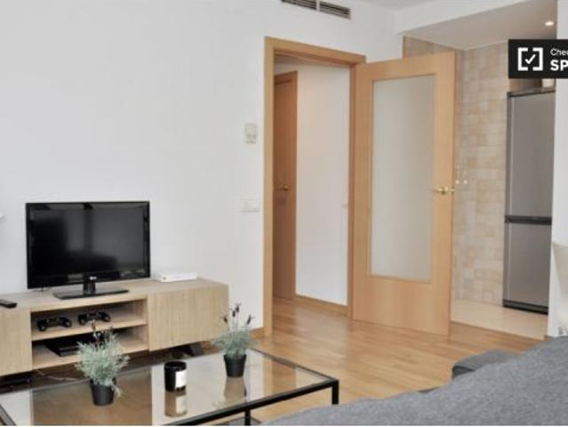 Moderno apartamento de 2 dormitorios con balcón en alquiler en Poblenou