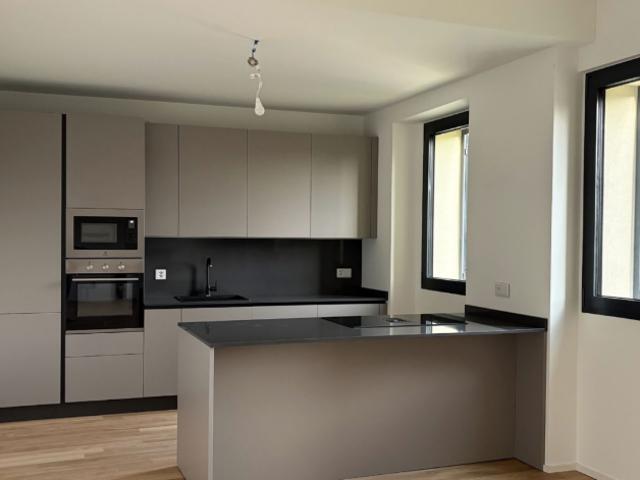 Modernes Apartment mit 3,5 Zimmern im 1. Stock mit Seeblick in Pura – Komfort in ruhiger Lage