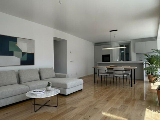 MODERNO ED AMPIO 3.5 LOCALI DI CHARME A MENDRISIO CENTRO
