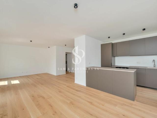 Moderno 3.5 locali con vista lago