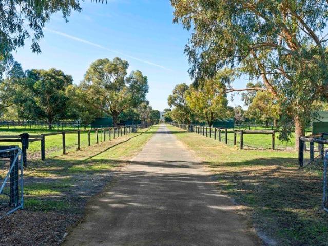 MOGUMBER PARK THE ULTIMATE EQUINE, VETERINARY & BREEDING FACILITY