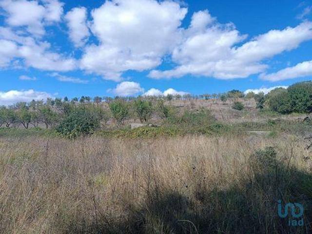 Mogadouro Braganca 92482524
