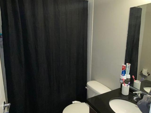 Mohamd Tawfik Has an Apartment