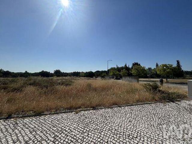 Moita Setubal 103660826