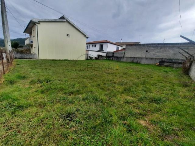 Moimenta da Beira Moimenta da Beira 89261369