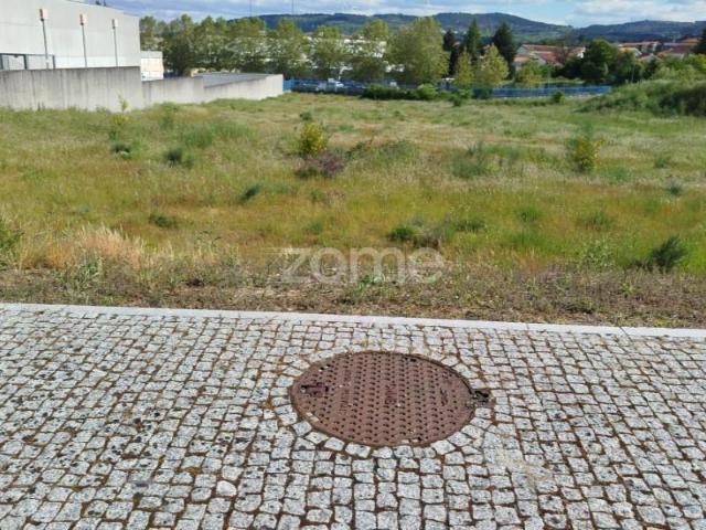 Moimenta da Beira Moimenta da Beira 98862893