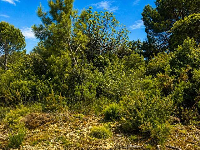 Moinho com Potencial Único para Turismo | Refúgio em Zona Verde