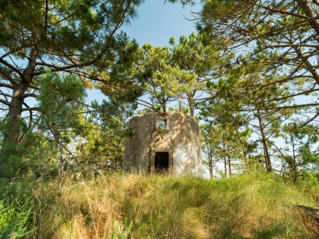 Moinho histórico com 6.350 m² de terreno e vistas panorâmicas na Costa de Prata