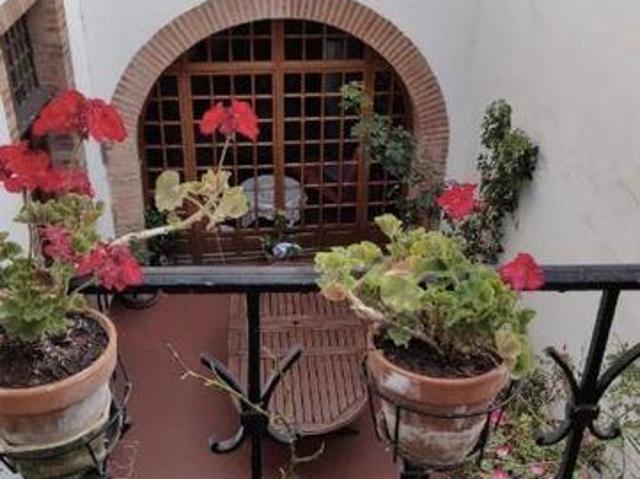 Moissac Midi 82200 105253764