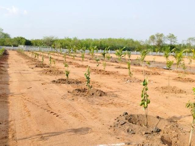 Mokila Residential Plot For Sale Hyderabad