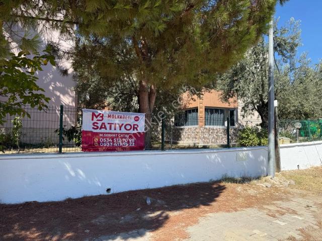 Molvabeyi Emlak'tan Denize 300 Metre Bakımlı Villa
