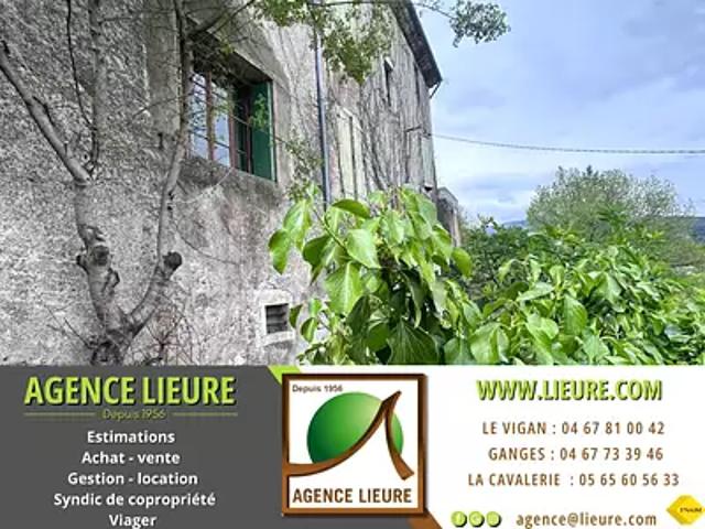Molières Cavaillac 30120 Achat / Vente maison 9 pièces t9