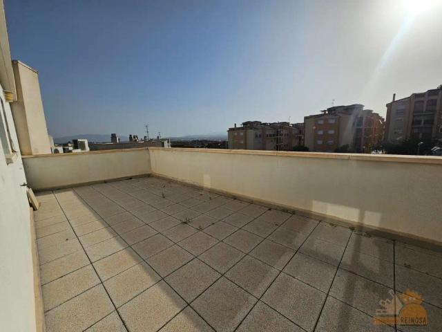 Molina De Segura