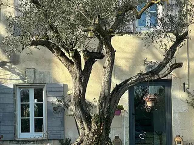 Mollégès 13940 Achat / Vente maison 7 pièces t7