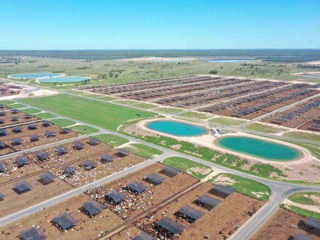 Mort & Co One of Australia's Largest Privately Owned Lot Feeding Specialists