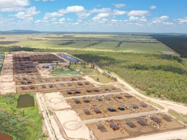 MORT & CO'S GOGANGO FEEDLOT DEVELOPMENT SITE