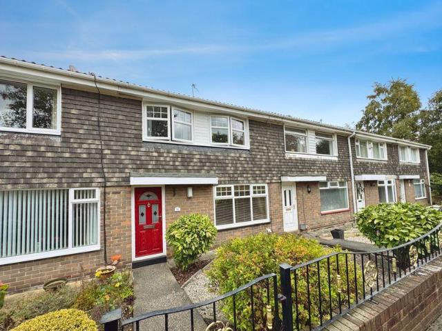 Morven Lea, Blaydon On Tyne NE21 3 bed terraced house to rent £950 pcm £219 pw