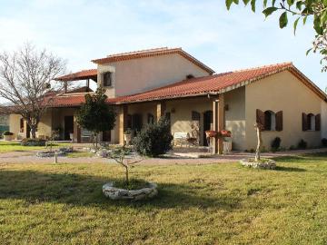 Moradia M4 com piscina e quintal, Fiais da Telha, Carregal. 310m² Oliveira Do Conde