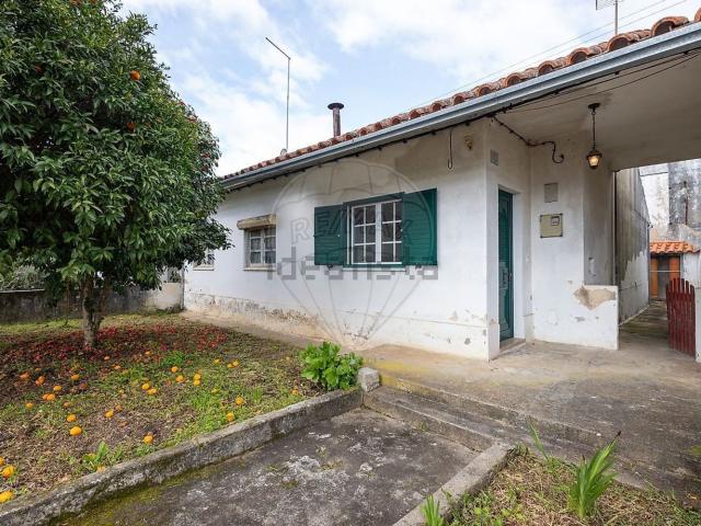 Moradia, Mação