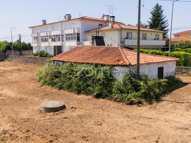 Moradia, Manhente