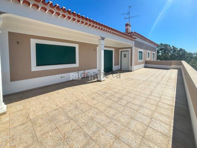 Moradia, Martinchel