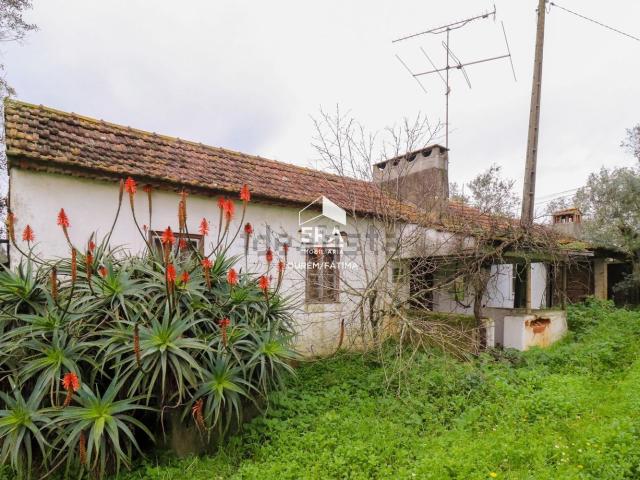 Moradia, Matas