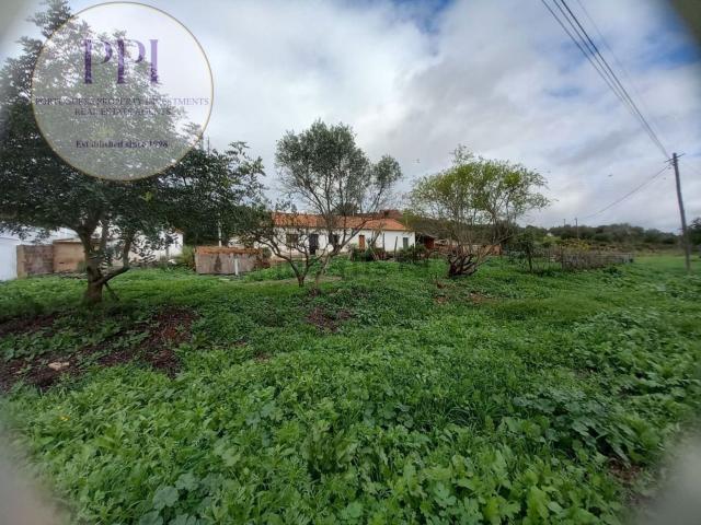 Moradia, Mexilhoeira Grande