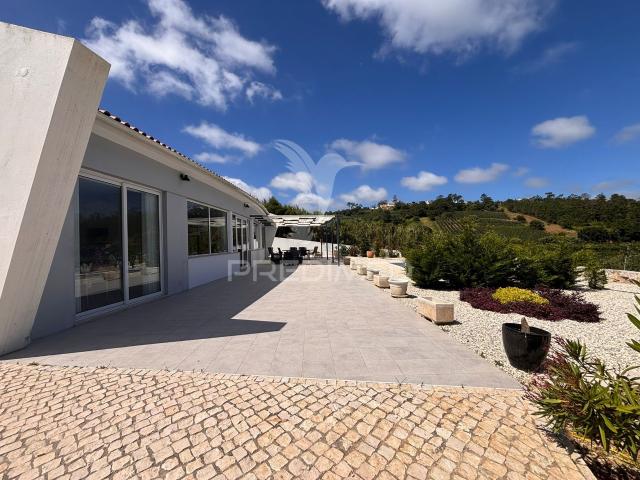 Moradia Moderna com Piscina e vistas sobre a natureza