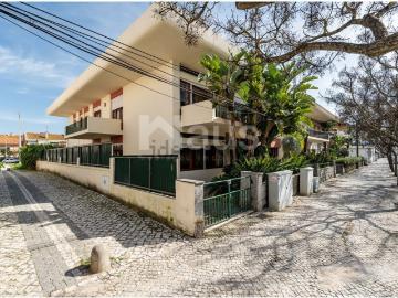 Montijo e Afonsoeiro, Montijo, Concelho de Benavente, Distrito de Santarém