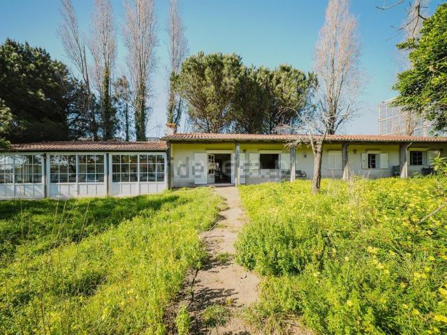 Moradia, Moreira