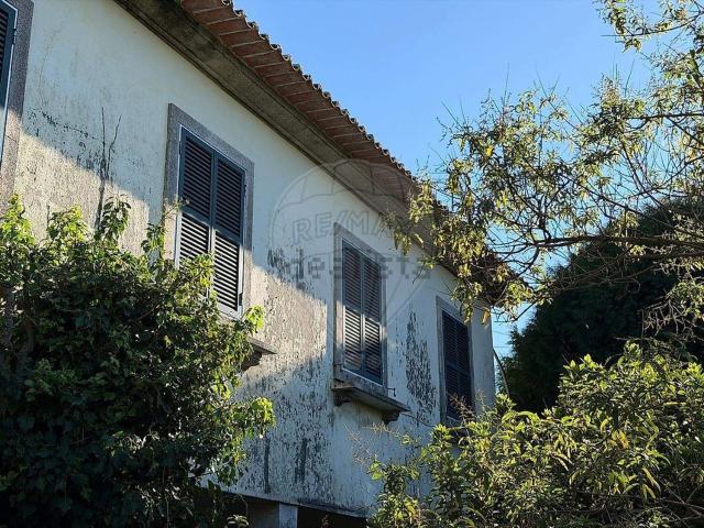 Moradia, Moreira