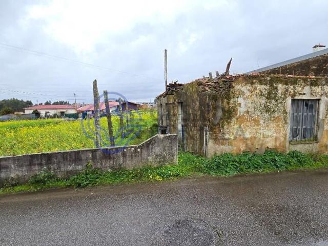 Moradia, Nogueira da Regedoura