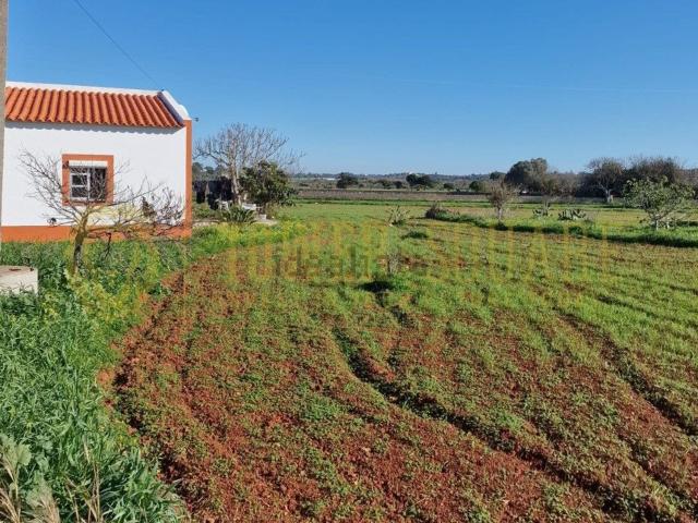 Moradia, Odiáxere