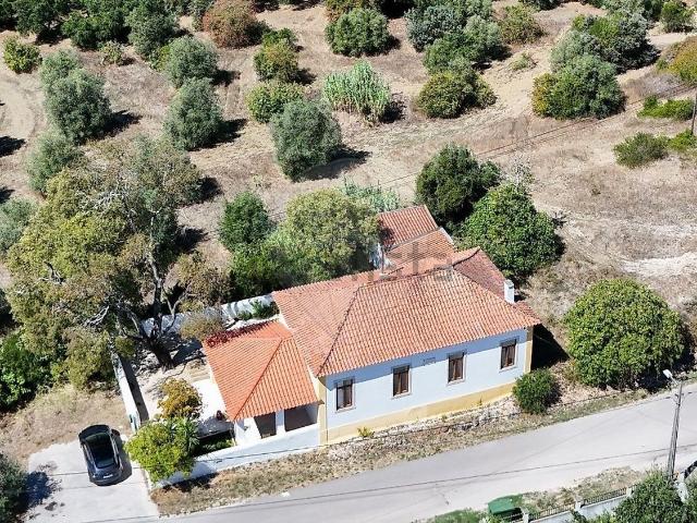 Moradia, Olaia e Paço
